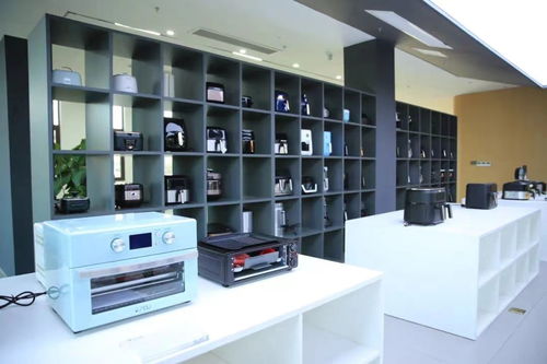 江蘇濱海 以“智”提“質”，激活家電銷售新質生產力發展一池春水